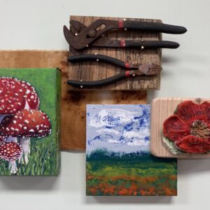 Amanita Muscaria Mushroom