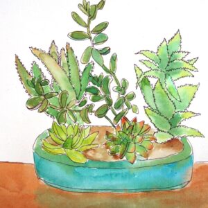Demo Art-Dish of Succulents