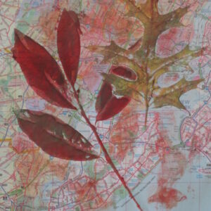 Printmaking with Nature Workshop