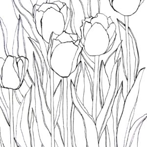 Pattern Download - Tulip