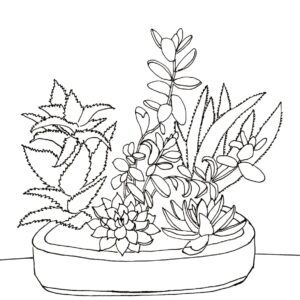 Pattern Download- Succulent (Working template product)