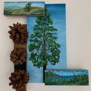 Ponderosa Pine