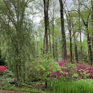 Nature Works Plant Party