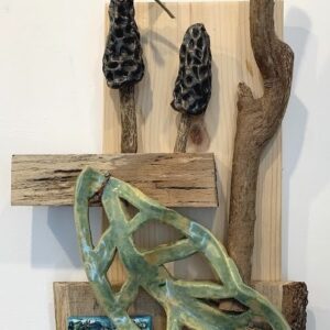 Morel Mushroom and Dragonfly