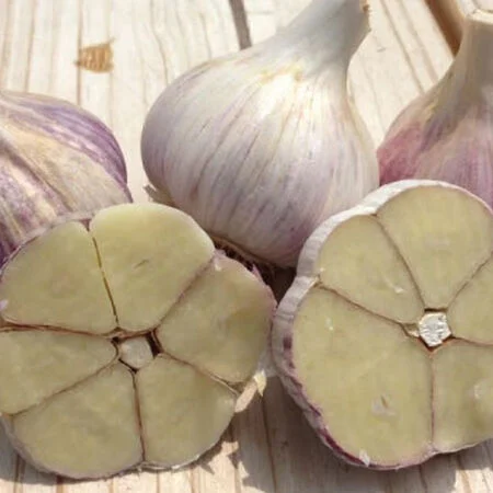 Nature Works Garlic E-Book