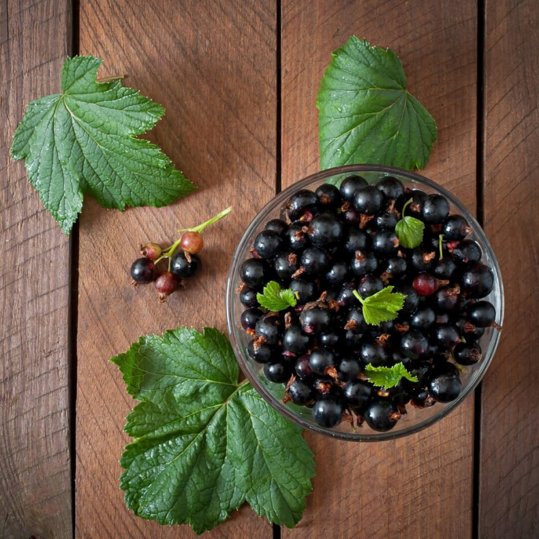 Nature Works Elderberry E-Book