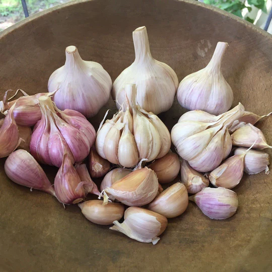 Nature Works Garlic E-Book - Image 2