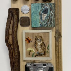 Peeking Owl
