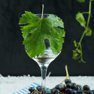Nature Works Grape leaves E-Book
