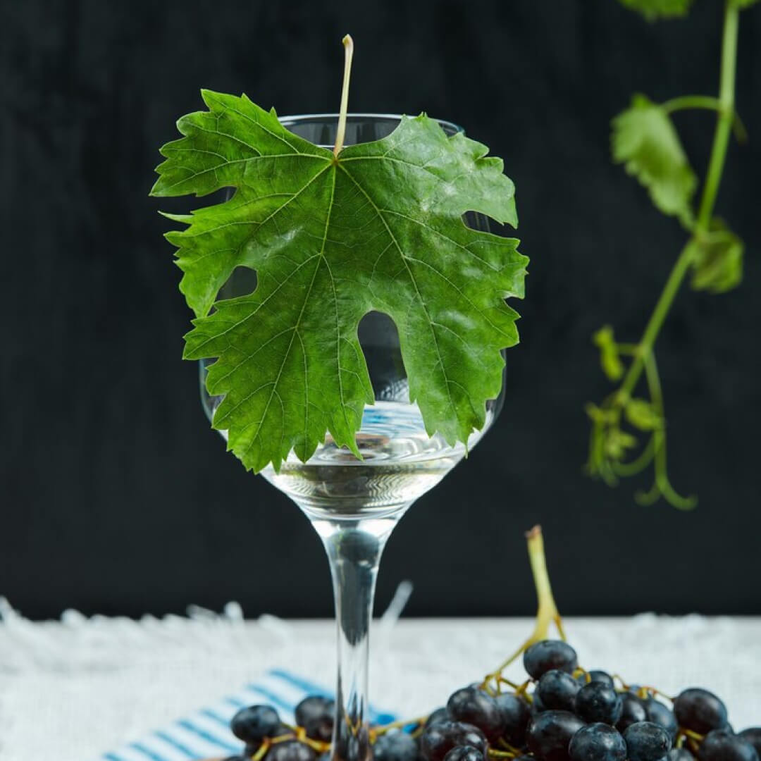 Nature Works Grape leaves E-Book