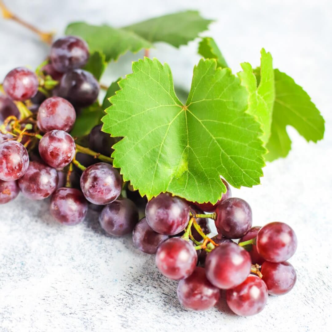 Nature Works Grape leaves E-Book - Image 2