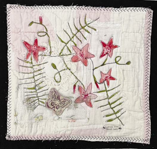 Reimagined Meadows- Cypress Vine