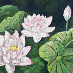 Water Lilly 2- Oil